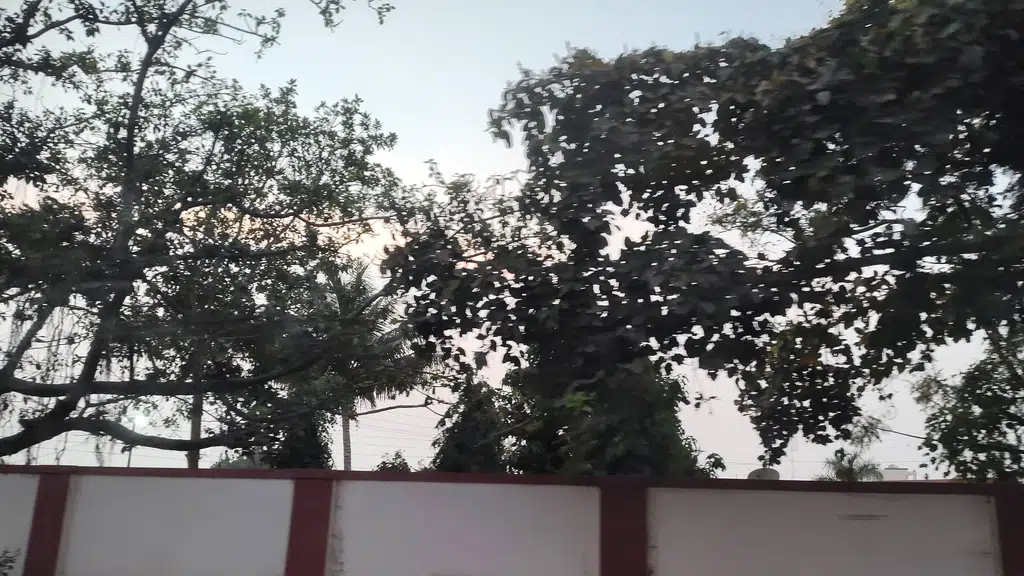 Bank Of India