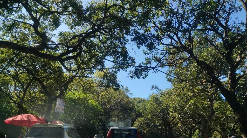 Panchgani, Mahabaleshwar.