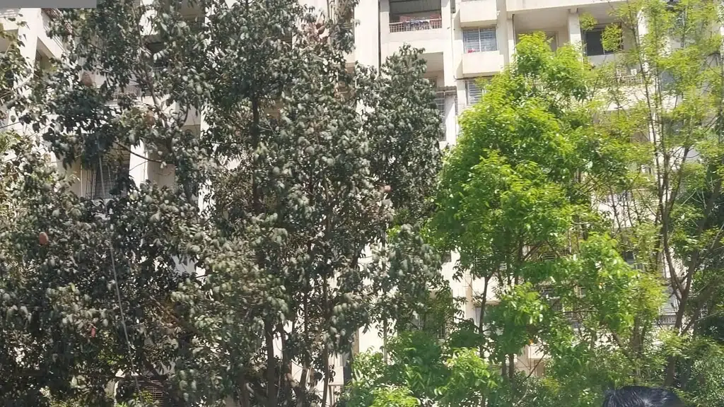 Sahyadri Heights