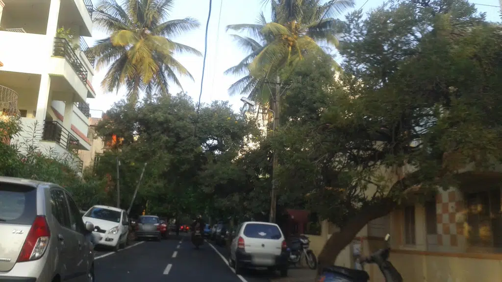 Leesmith's Chikmagalur Queen's Coffee