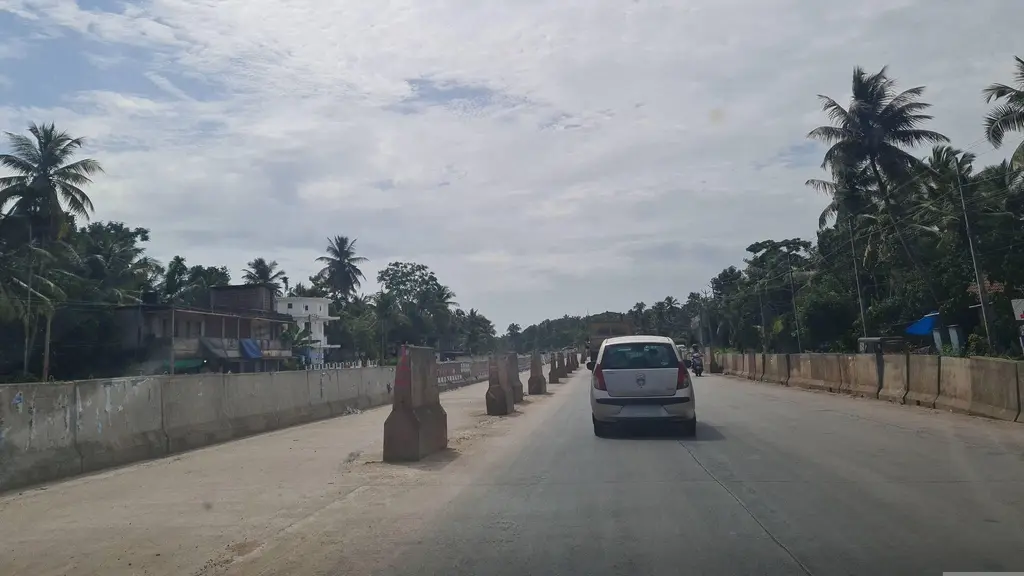 Aravind Ghosh Road Fish Market