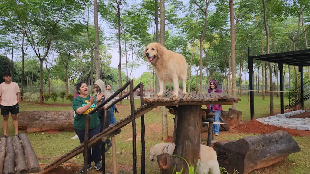 Scentral Park Devanahalli : Sensory Garden for Dogs