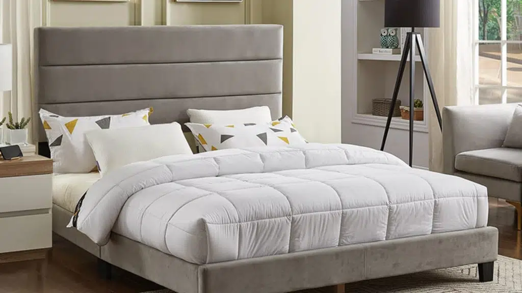 Pabitra furniture
