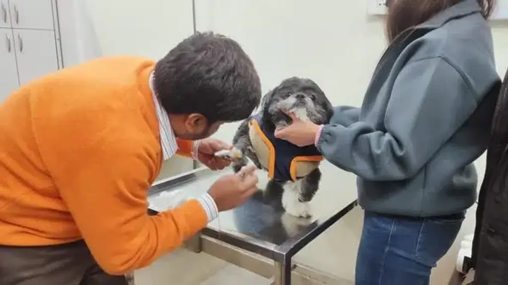 Family Pet Clinic and Surgical Centre
