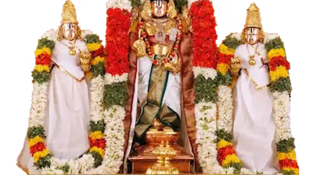 Padmavathi Travels