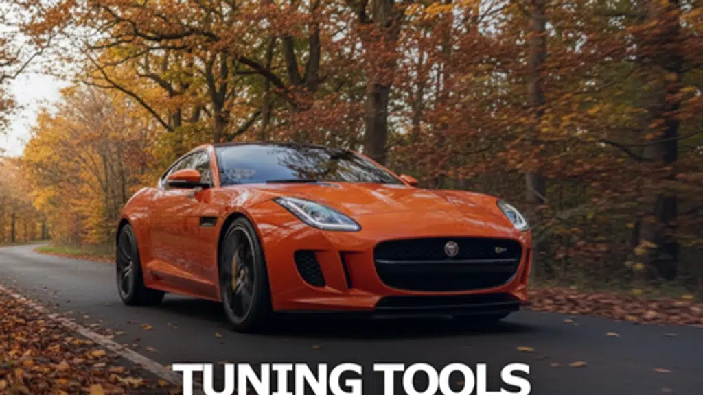 VIEZU Tuners