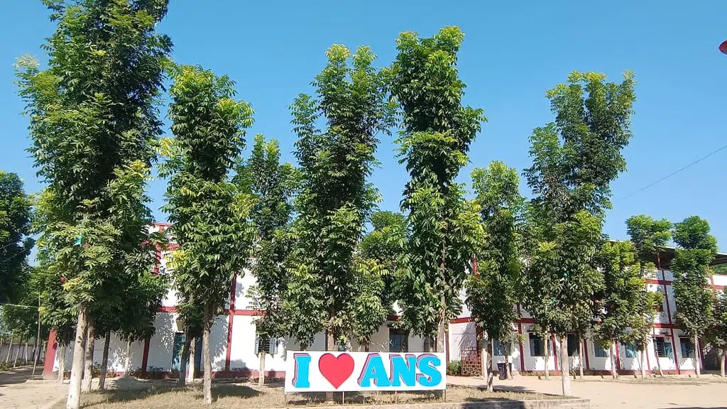 Azim National School