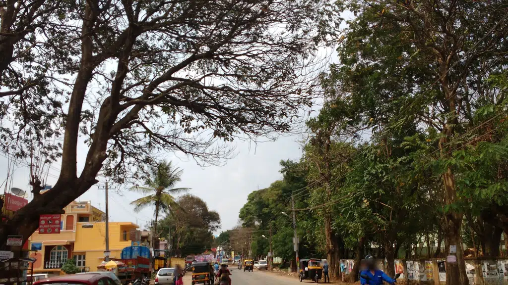 Science College Stadium