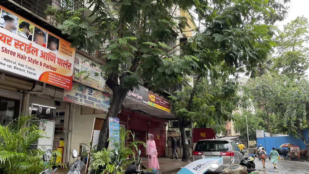 Avani Chaniya Choli House