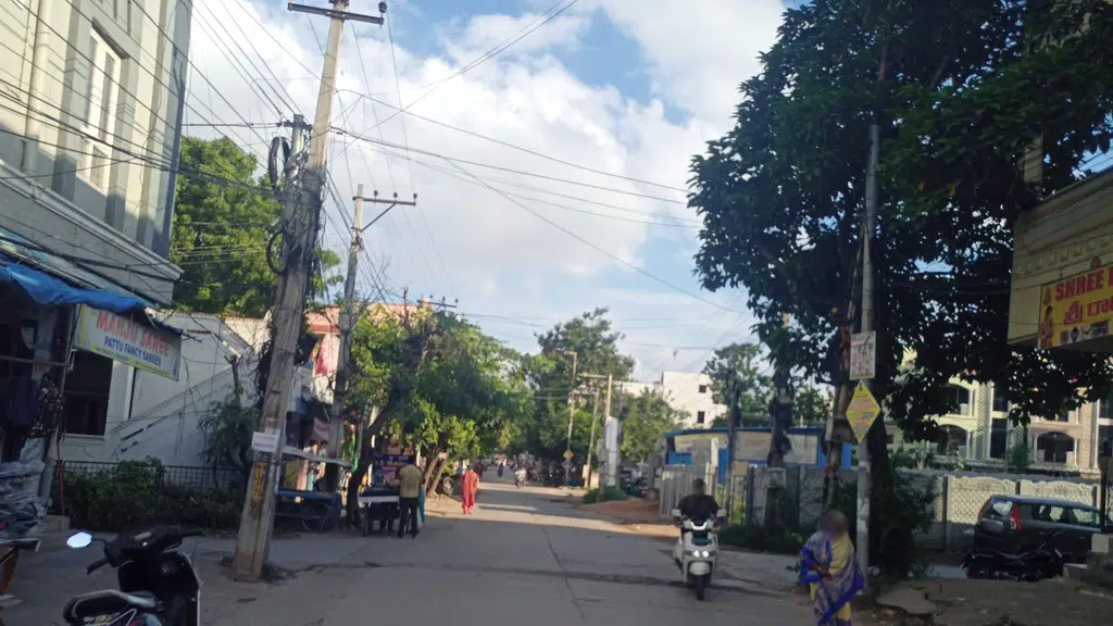 Ramani safety nets