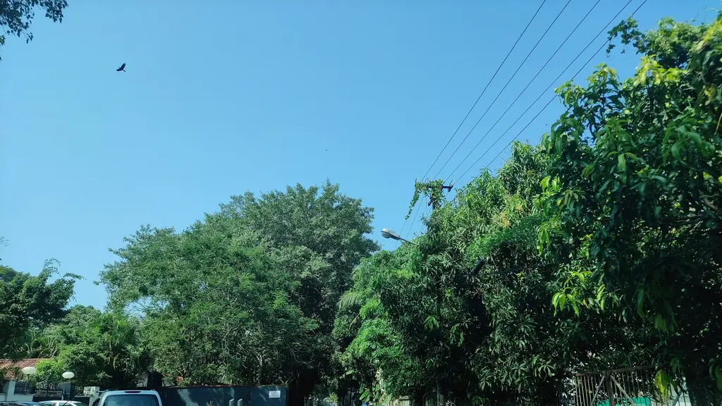 Freedom Inn Homestay