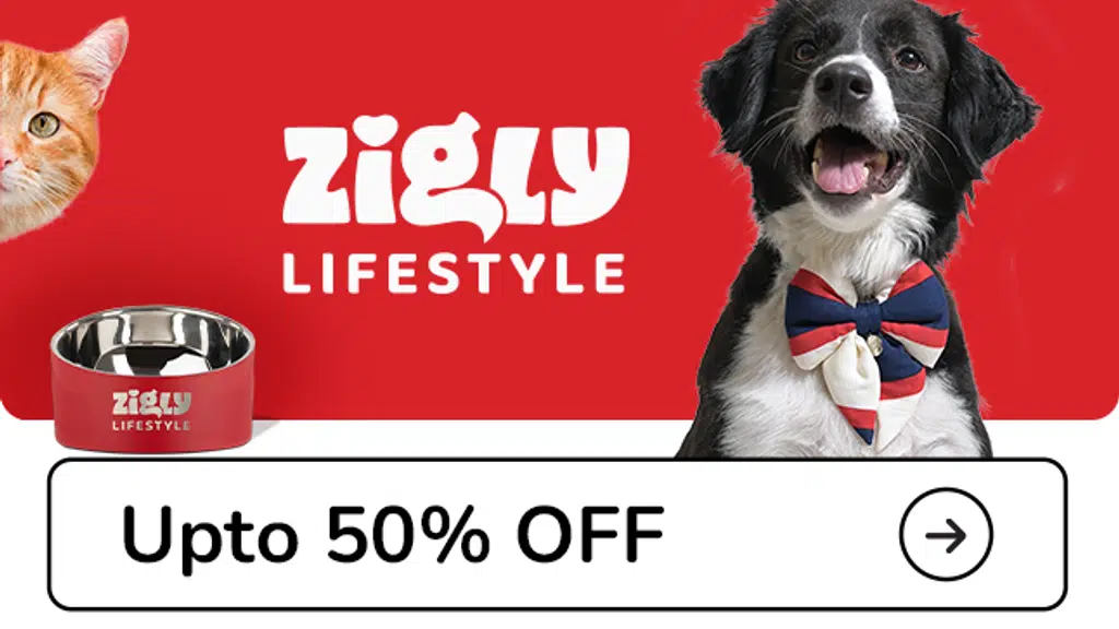 Zigly | Element One Mall (Gurgaon) - Pet Grooming & Pet Products