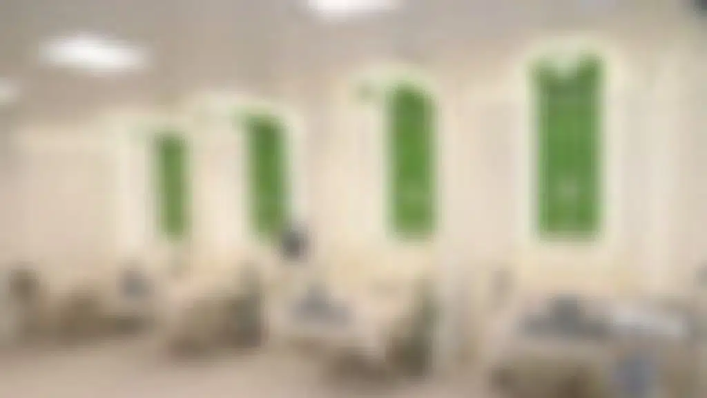 The Clinics
