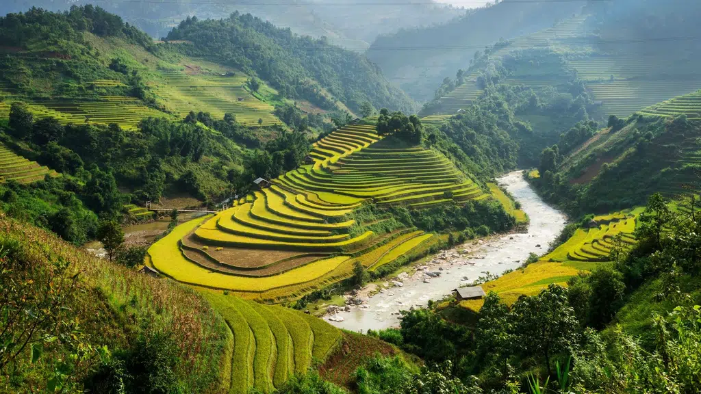 Lucky Voyage Tours