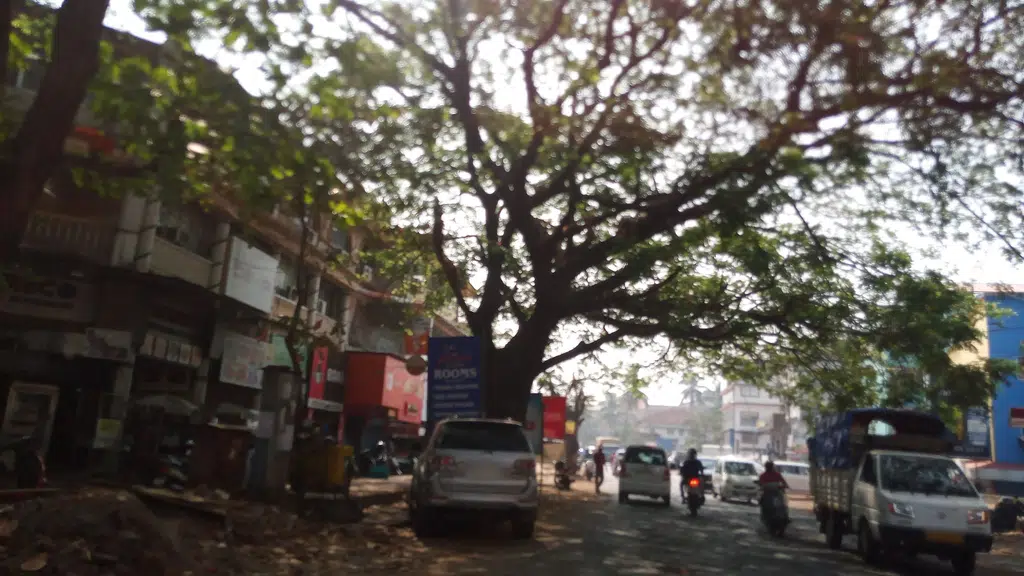 Goa Dental Clinics