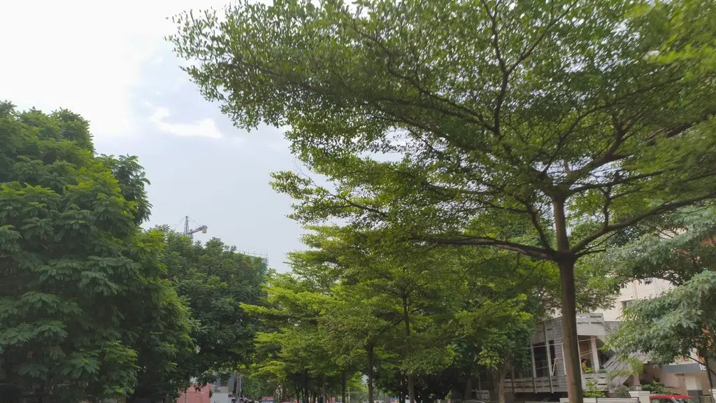 Samata Degree and Post Graduate College