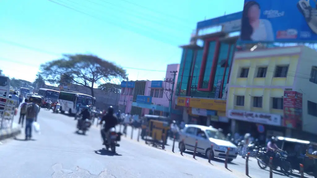 Hotel Krishna Sagar