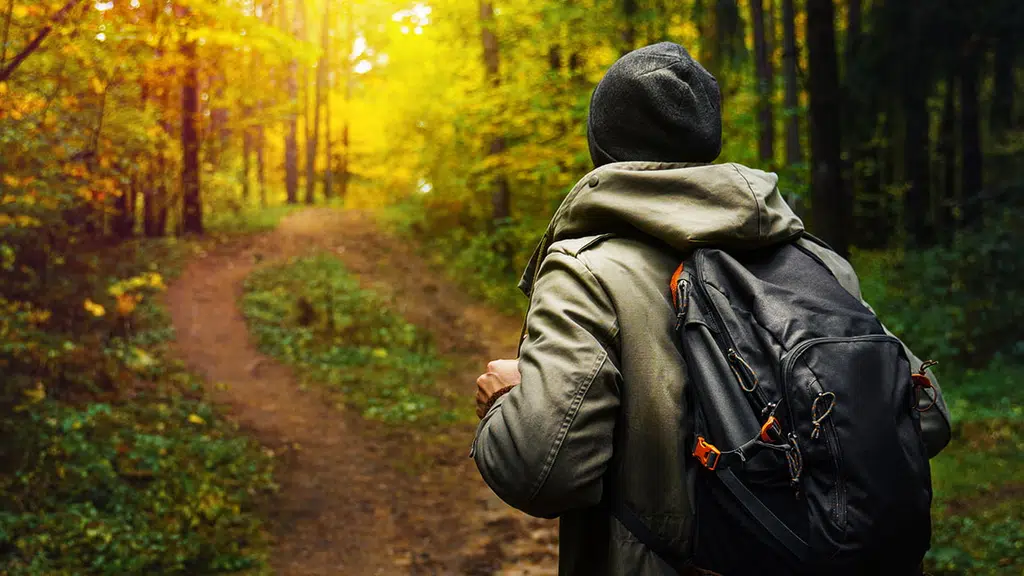 Madhu tours and travels