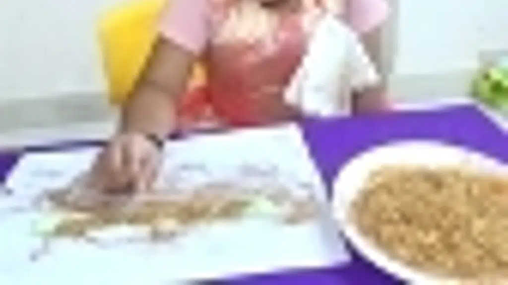 Orkid International Preschool