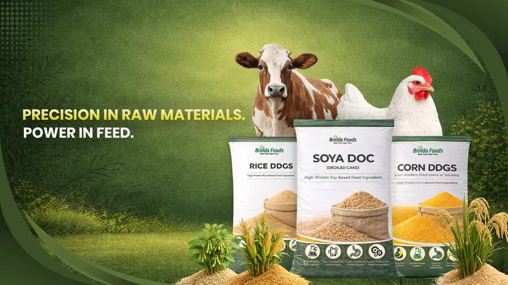 Brinda Feeds Private Limited