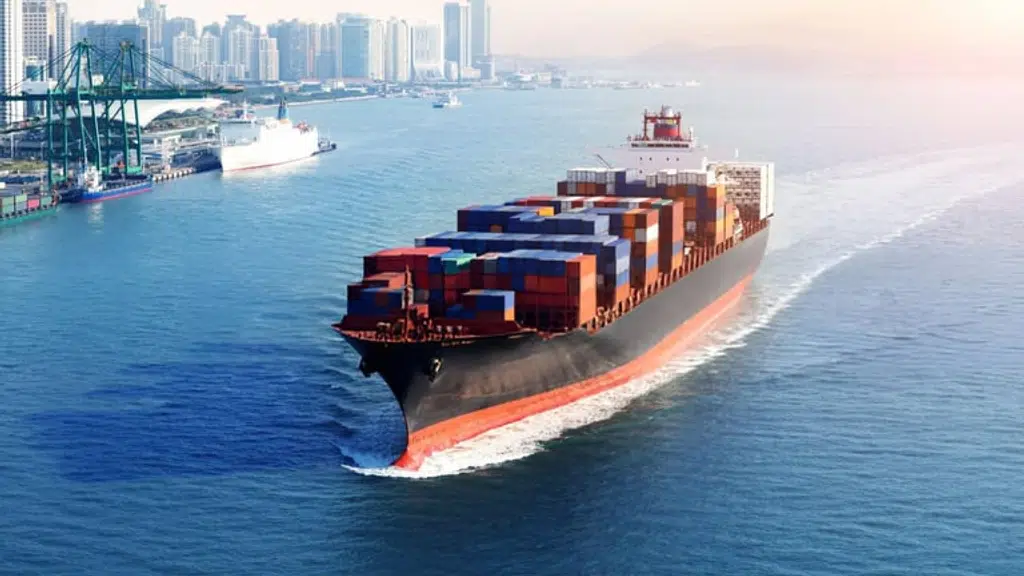 Aditya Exports And Imports