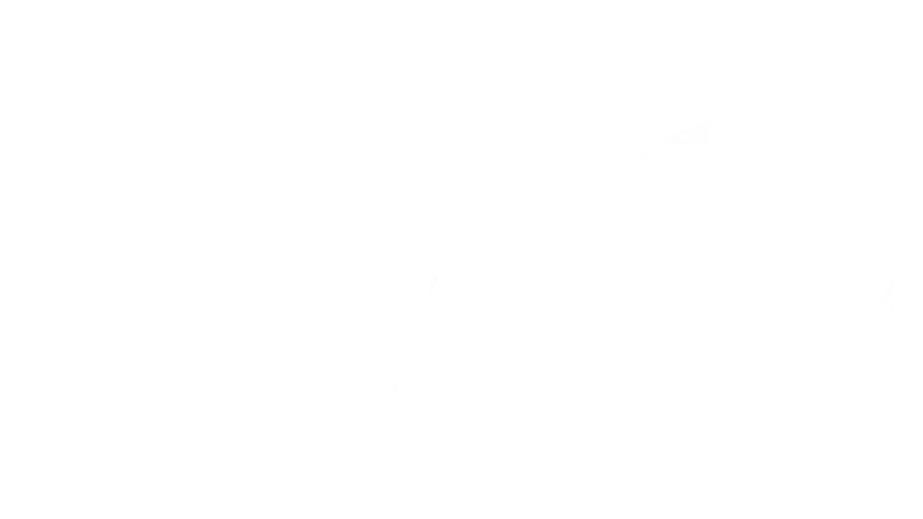 Asus Exclusive Store