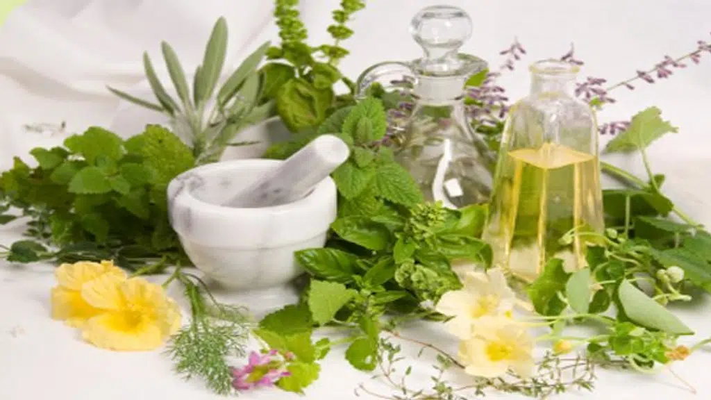 Indian Drugs & Botanical Herbs Co