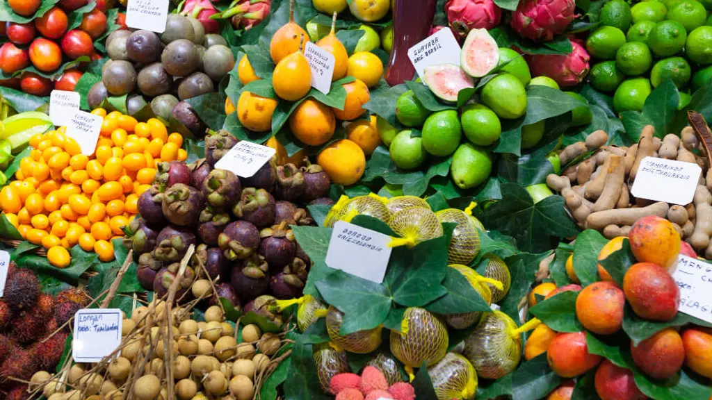 Blessing Cargo Trichy - Vegetables Exporter, Fruits Exporter, Flowers Exporter in Tamilnadu