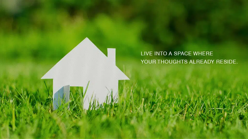 Shiv Associates