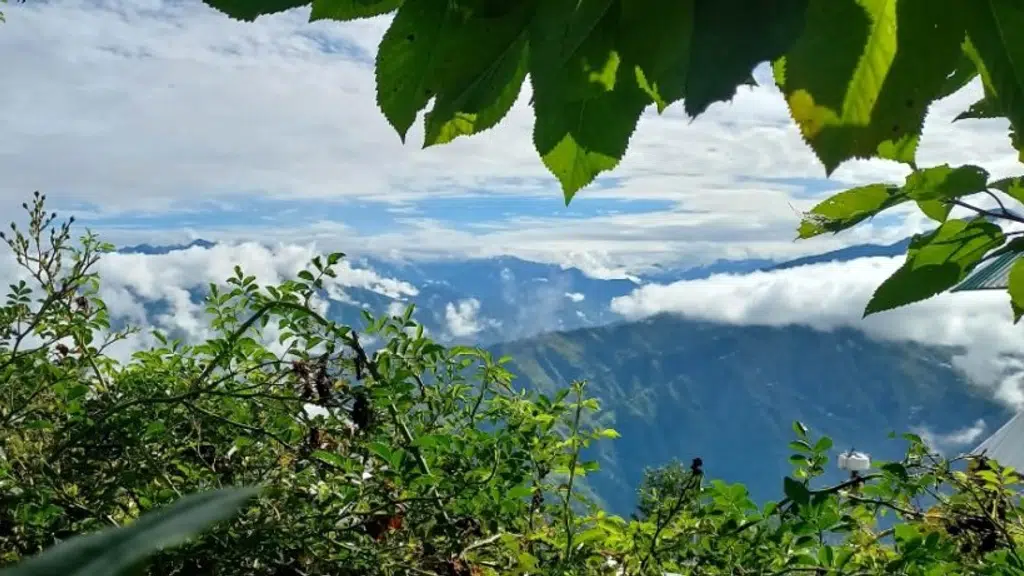 Shelapani Home Shimla hills