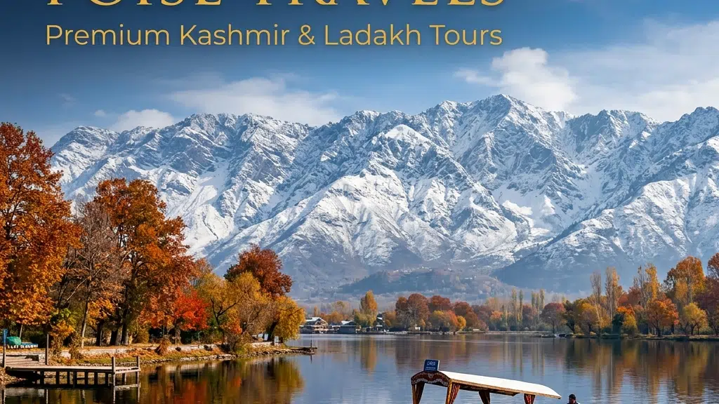 Poise Travel & Tourism