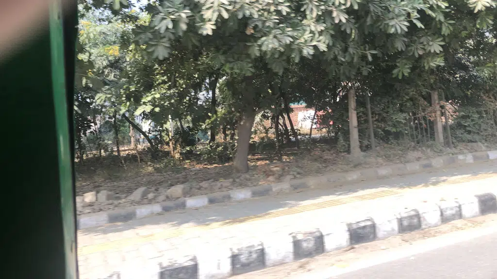 Fitness Addiction Gym
