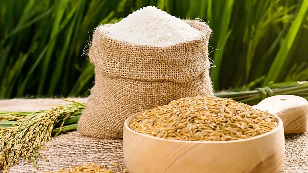 Jai Ambey Rice Mill