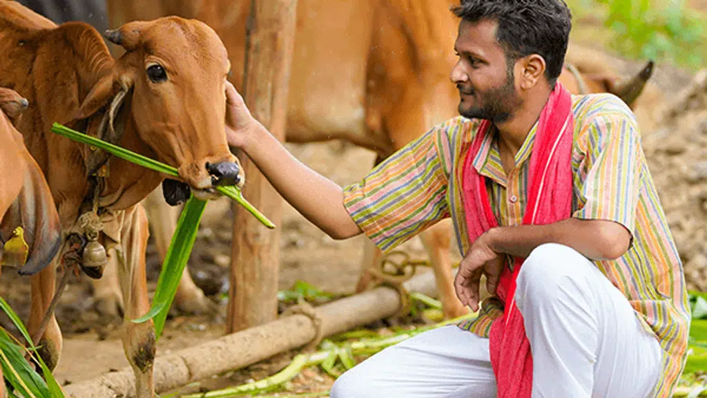 Bhumijaa Farmer Welfare Foundation