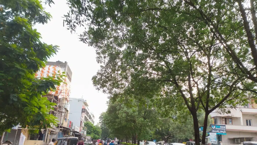 Rathna Vari Vantillu