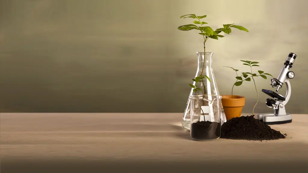 Raj Fertilizer and Chemicals