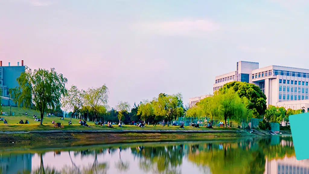 Hotel grand 81