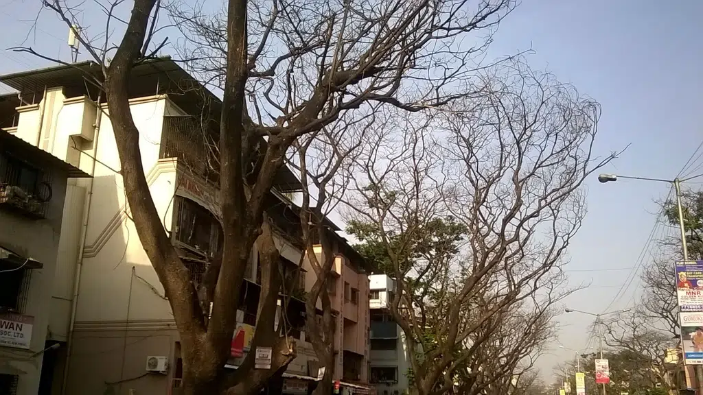 EuroKids Kharghar Sector 19, Navi Mumbai