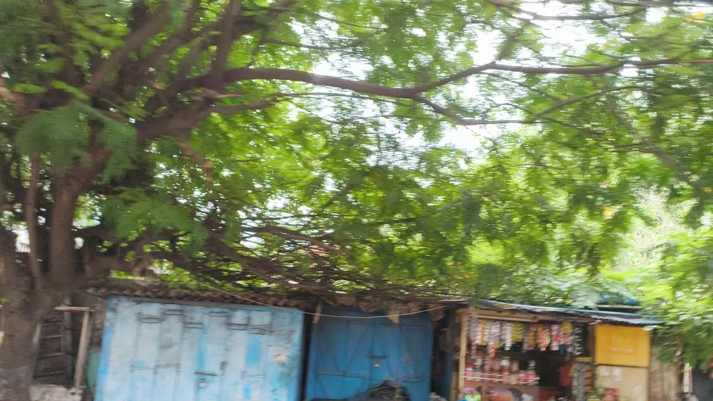 Vaishnavi Agency