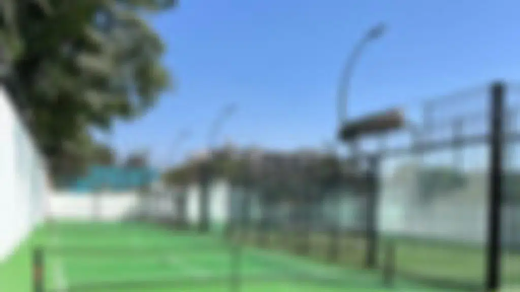 Backyard Sports Club