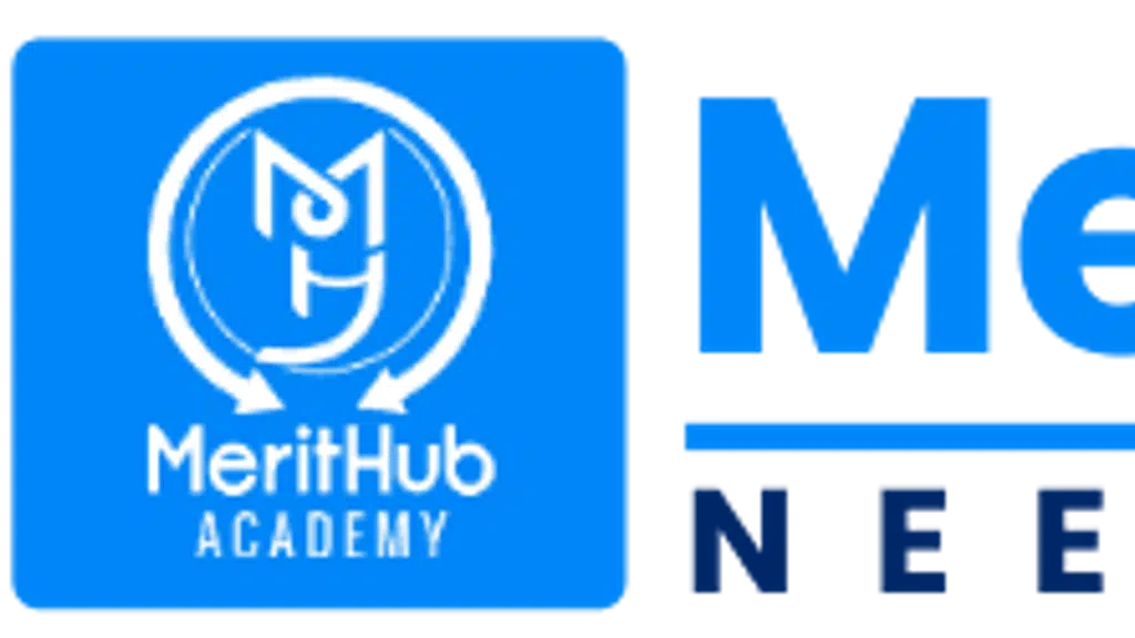 MeritHub Academy