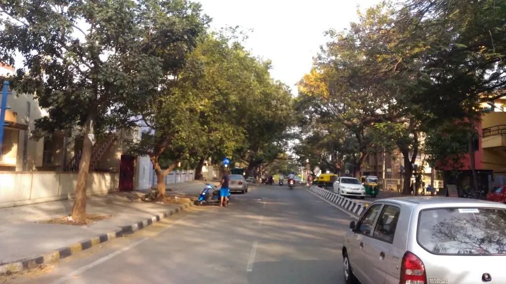 Rijk Zwaan India