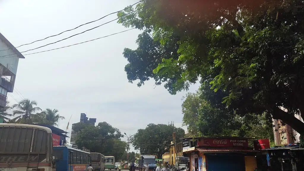 Anandamayos Homoeopathy and Wellness Center