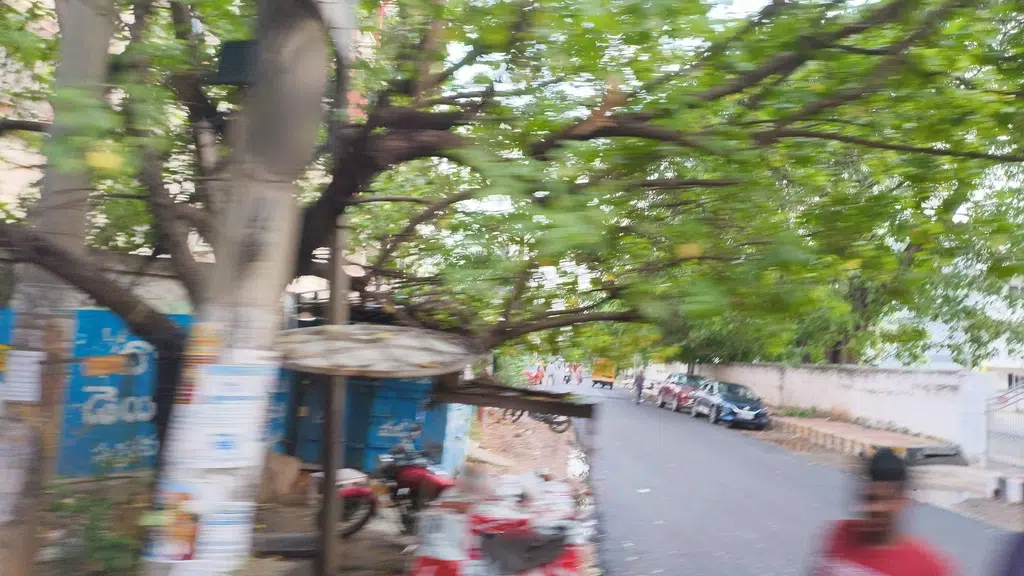 Rajadhani Nursery & Landscapes