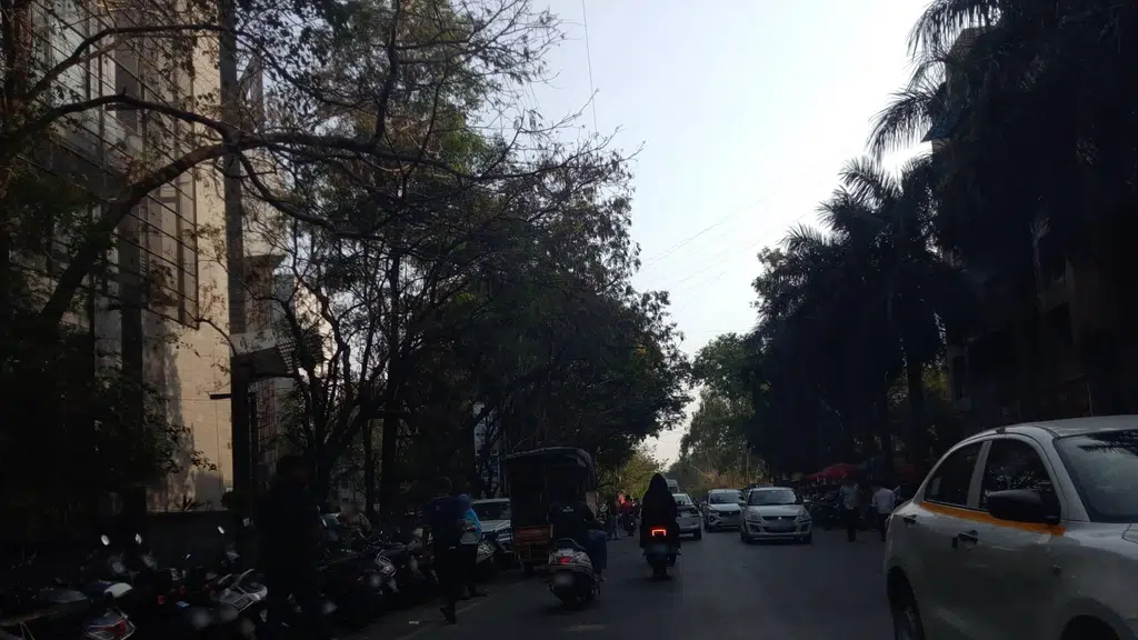 Paan Culture - Viman Nagar