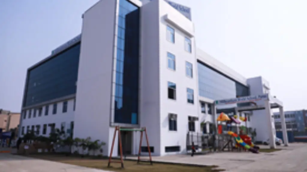 Millennium World School