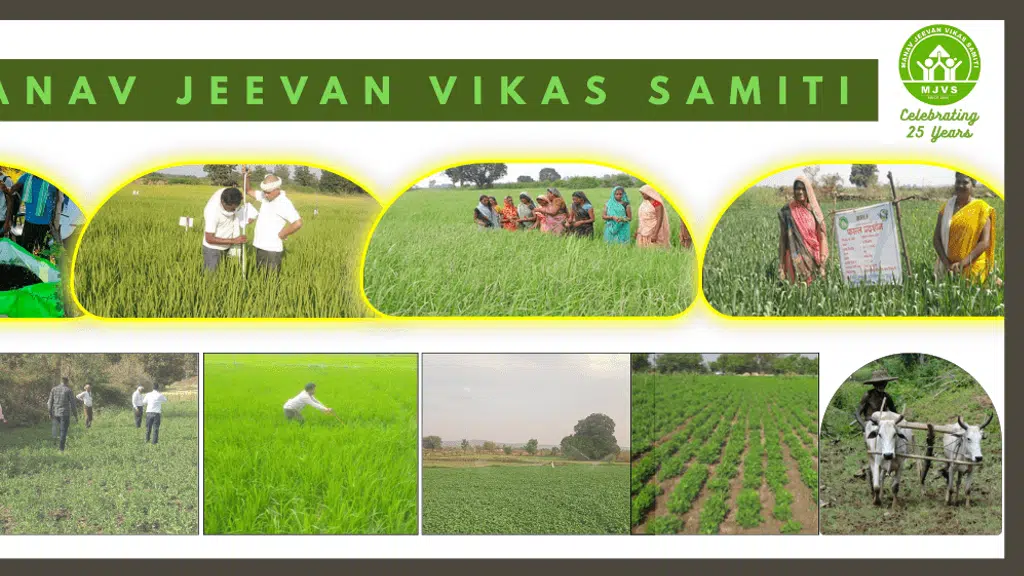 Manav Jeevan Vikas Samiti - MJVS