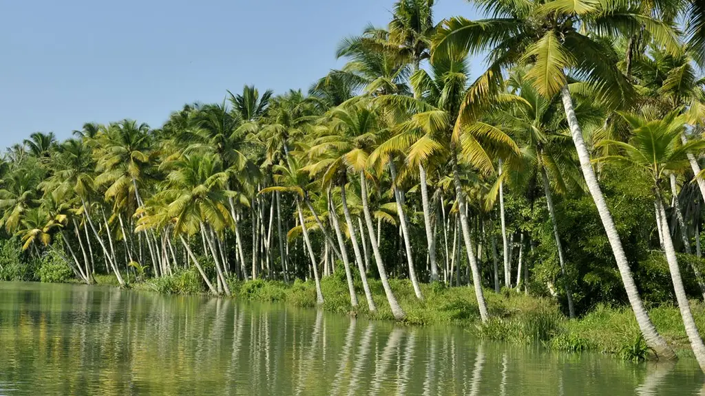 Poovar Backwater Cruise