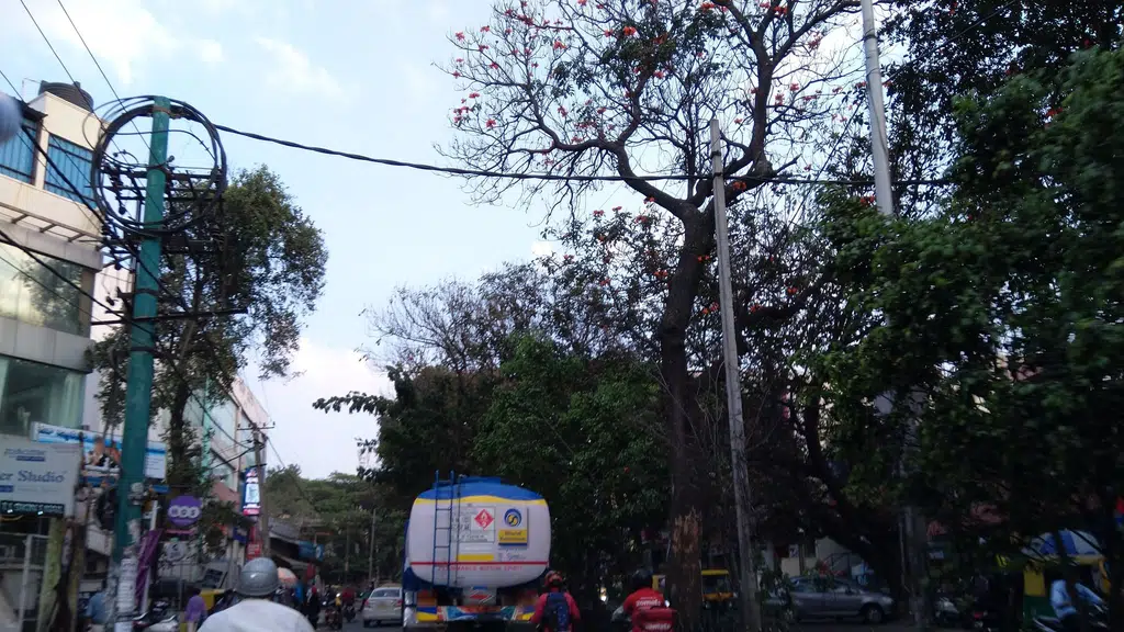 Karnataka Bank - Gokula Branch