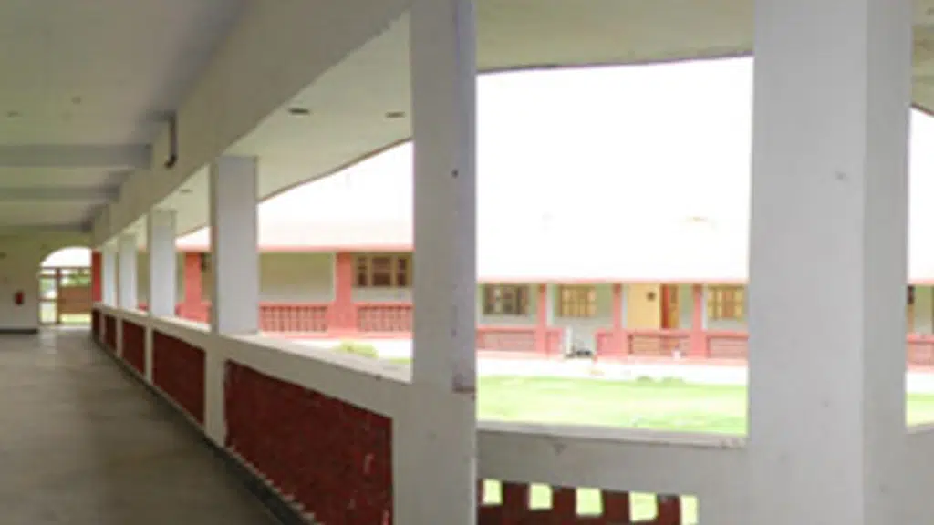 Risemax College of Education